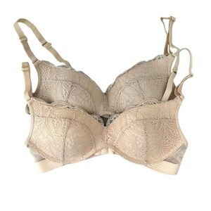 Lively Lace No-Wire Push-Up Bra